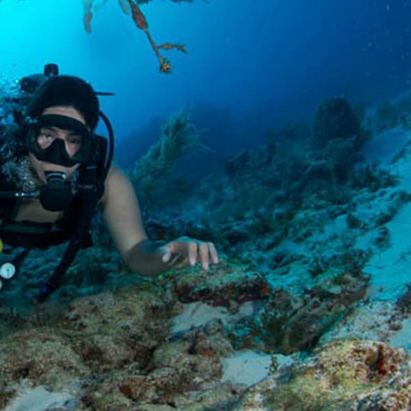 Buceo en Puerto Ángel
